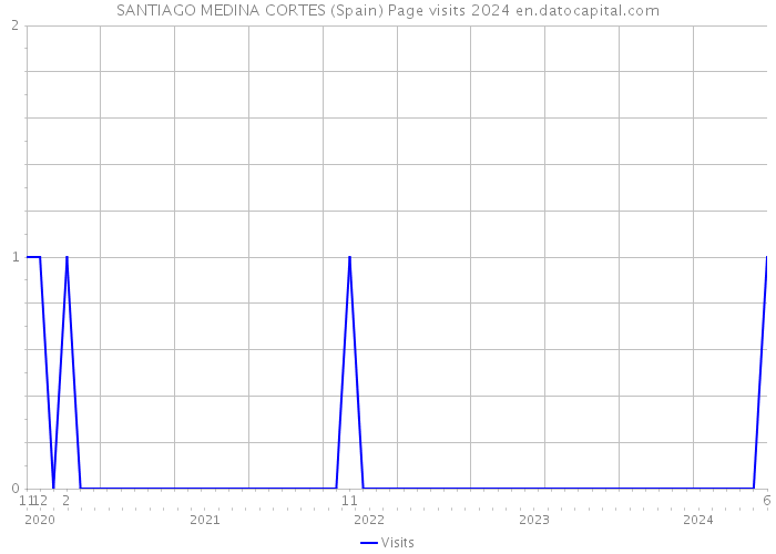 SANTIAGO MEDINA CORTES (Spain) Page visits 2024 