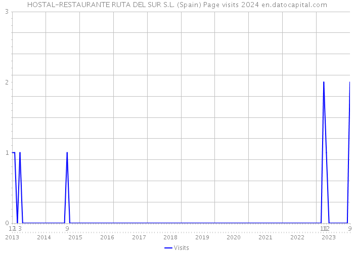 HOSTAL-RESTAURANTE RUTA DEL SUR S.L. (Spain) Page visits 2024 