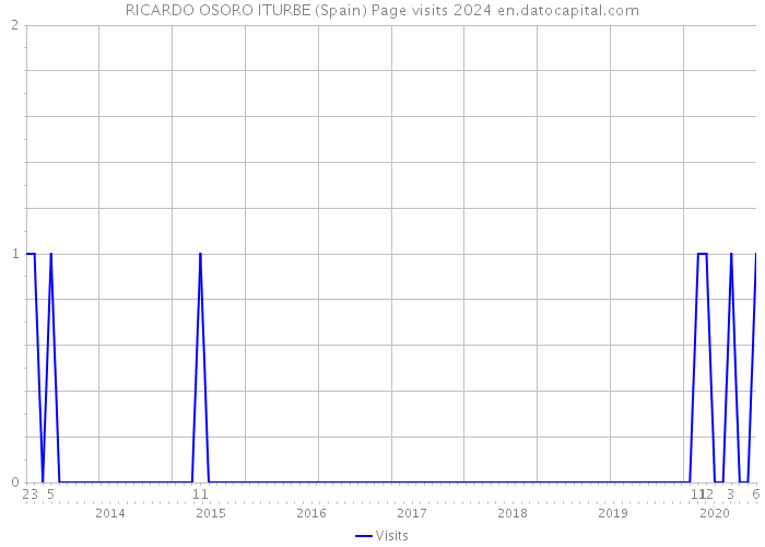RICARDO OSORO ITURBE (Spain) Page visits 2024 