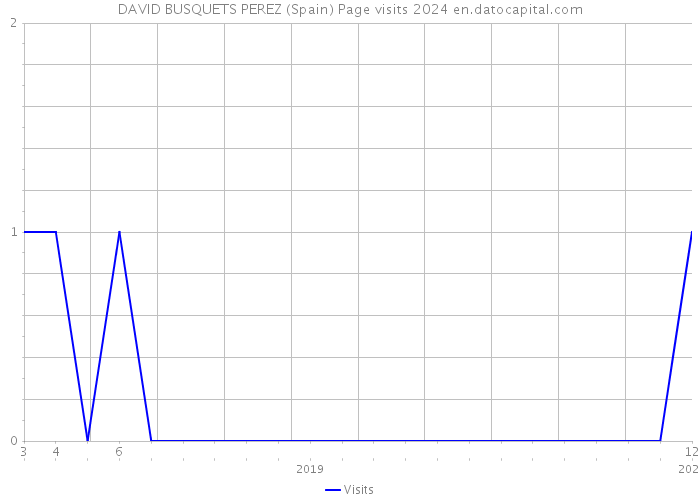 DAVID BUSQUETS PEREZ (Spain) Page visits 2024 
