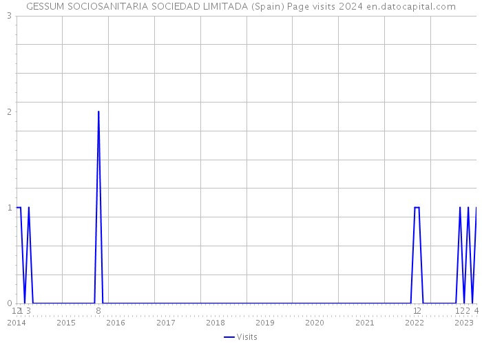 GESSUM SOCIOSANITARIA SOCIEDAD LIMITADA (Spain) Page visits 2024 