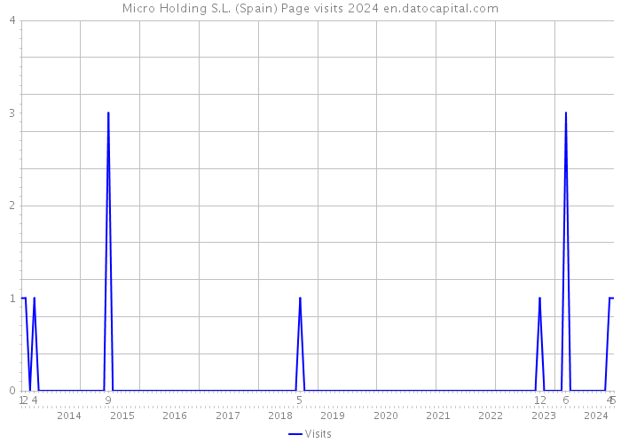 Micro Holding S.L. (Spain) Page visits 2024 
