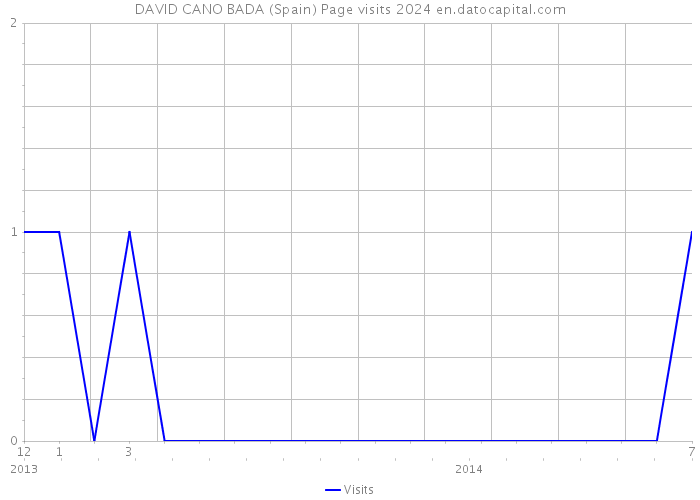 DAVID CANO BADA (Spain) Page visits 2024 