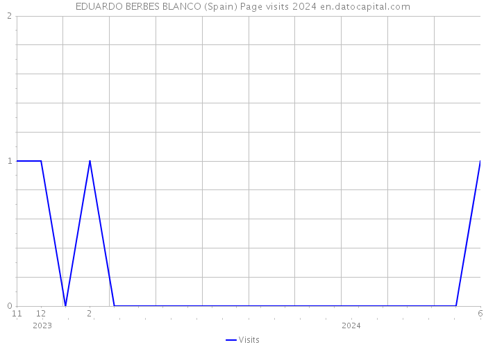 EDUARDO BERBES BLANCO (Spain) Page visits 2024 