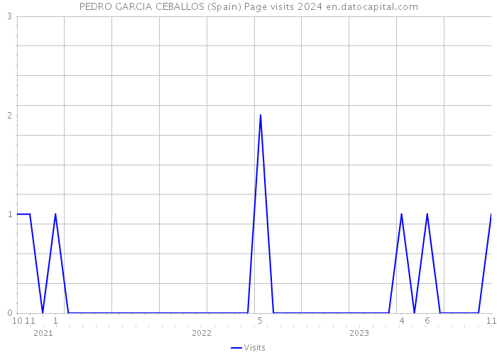 PEDRO GARCIA CEBALLOS (Spain) Page visits 2024 