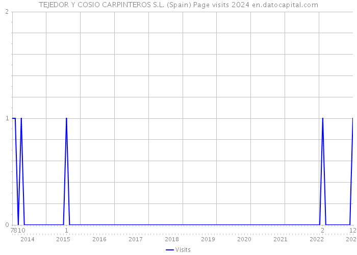 TEJEDOR Y COSIO CARPINTEROS S.L. (Spain) Page visits 2024 
