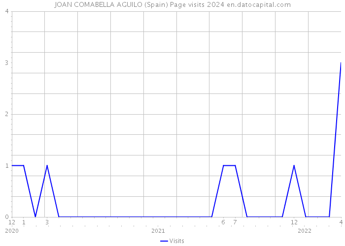 JOAN COMABELLA AGUILO (Spain) Page visits 2024 