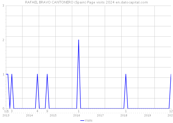 RAFAEL BRAVO CANTONERO (Spain) Page visits 2024 