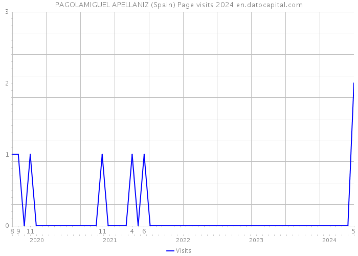 PAGOLAMIGUEL APELLANIZ (Spain) Page visits 2024 