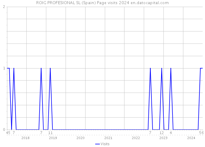 ROIG PROFESIONAL SL (Spain) Page visits 2024 