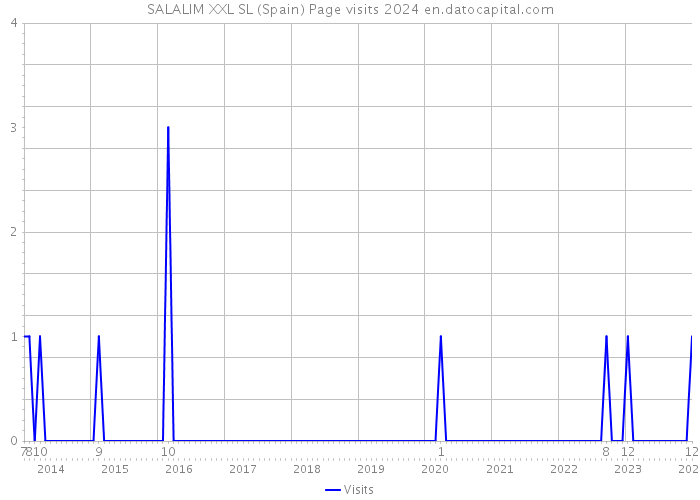 SALALIM XXL SL (Spain) Page visits 2024 