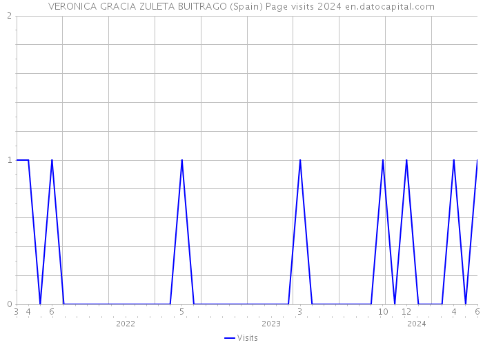 VERONICA GRACIA ZULETA BUITRAGO (Spain) Page visits 2024 