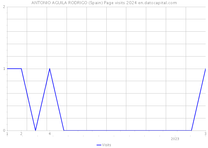 ANTONIO AGUILA RODRIGO (Spain) Page visits 2024 