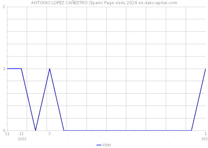 ANTONIO LOPEZ CAÑESTRO (Spain) Page visits 2024 