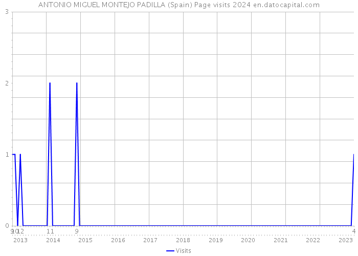 ANTONIO MIGUEL MONTEJO PADILLA (Spain) Page visits 2024 