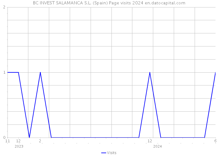 BC INVEST SALAMANCA S.L. (Spain) Page visits 2024 