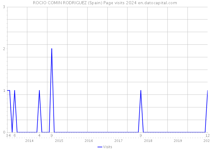 ROCIO COMIN RODRIGUEZ (Spain) Page visits 2024 