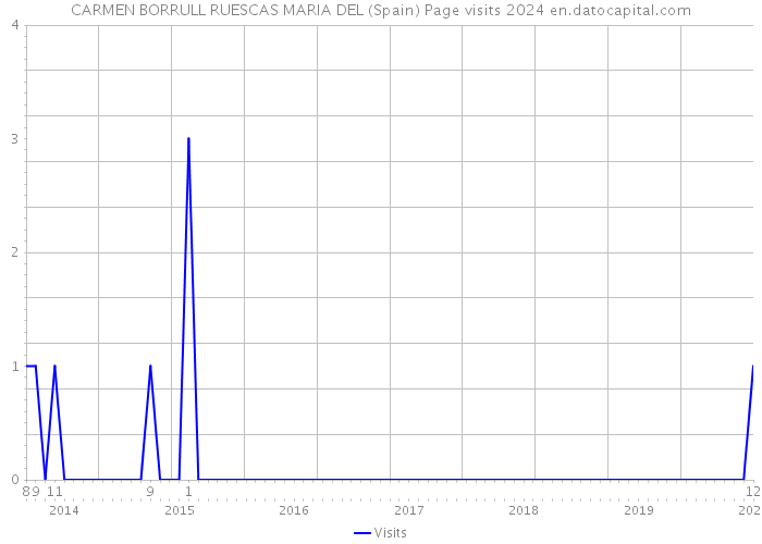 CARMEN BORRULL RUESCAS MARIA DEL (Spain) Page visits 2024 