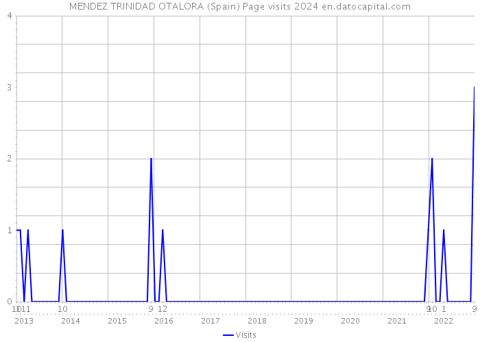 MENDEZ TRINIDAD OTALORA (Spain) Page visits 2024 