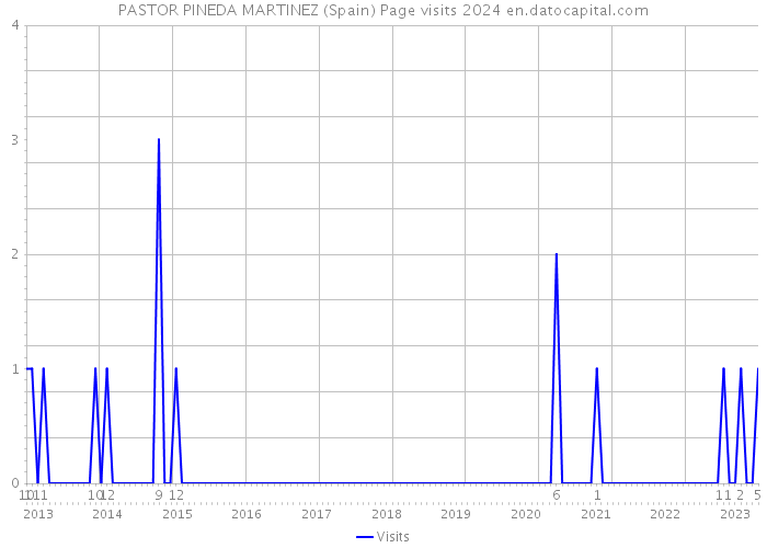 PASTOR PINEDA MARTINEZ (Spain) Page visits 2024 