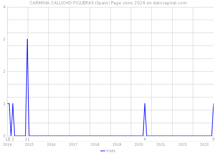 CARMINA CALUCHO FIGUERAS (Spain) Page visits 2024 