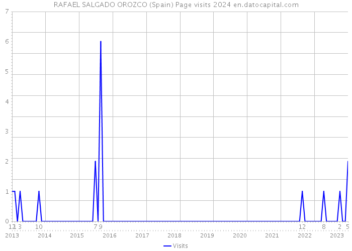 RAFAEL SALGADO OROZCO (Spain) Page visits 2024 