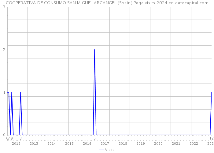 COOPERATIVA DE CONSUMO SAN MIGUEL ARCANGEL (Spain) Page visits 2024 
