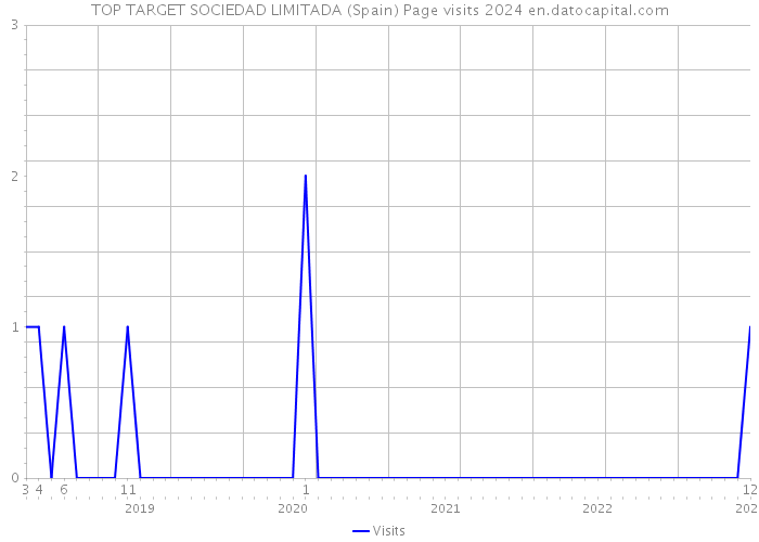 TOP TARGET SOCIEDAD LIMITADA (Spain) Page visits 2024 
