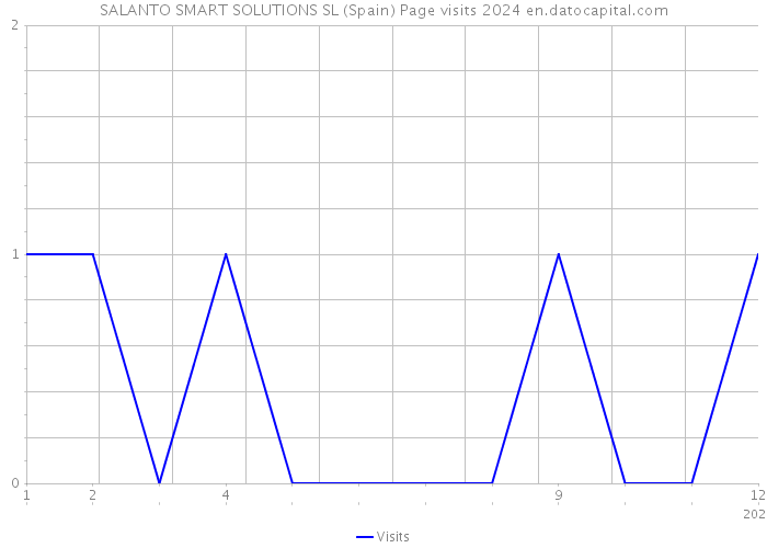 SALANTO SMART SOLUTIONS SL (Spain) Page visits 2024 