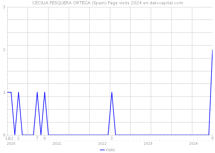 CECILIA PESQUERA ORTEGA (Spain) Page visits 2024 