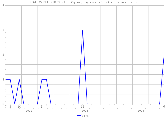 PESCADOS DEL SUR 2021 SL (Spain) Page visits 2024 