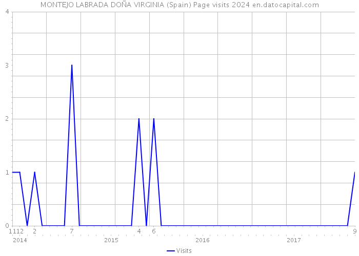 MONTEJO LABRADA DOÑA VIRGINIA (Spain) Page visits 2024 