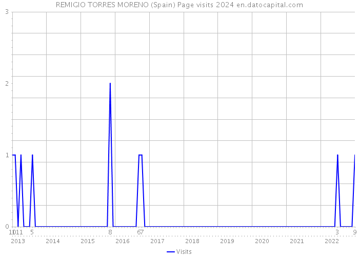REMIGIO TORRES MORENO (Spain) Page visits 2024 