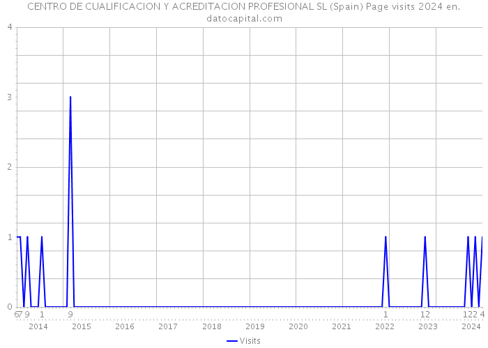 CENTRO DE CUALIFICACION Y ACREDITACION PROFESIONAL SL (Spain) Page visits 2024 