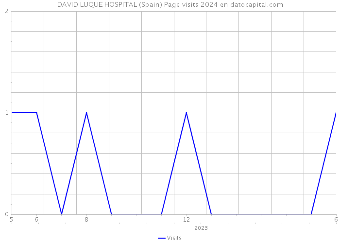 DAVID LUQUE HOSPITAL (Spain) Page visits 2024 