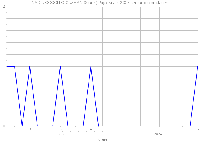 NADIR COGOLLO GUZMAN (Spain) Page visits 2024 