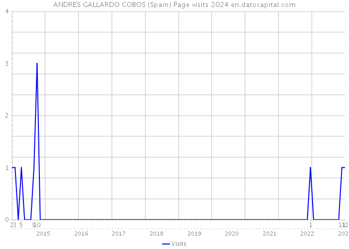 ANDRES GALLARDO COBOS (Spain) Page visits 2024 