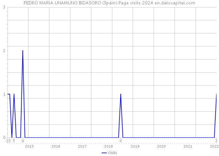 PEDRO MARIA UNAMUNO BIDASORO (Spain) Page visits 2024 