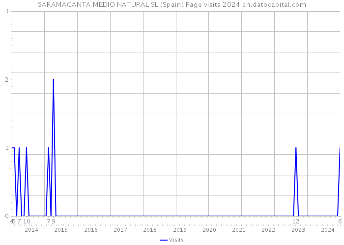 SARAMAGANTA MEDIO NATURAL SL (Spain) Page visits 2024 