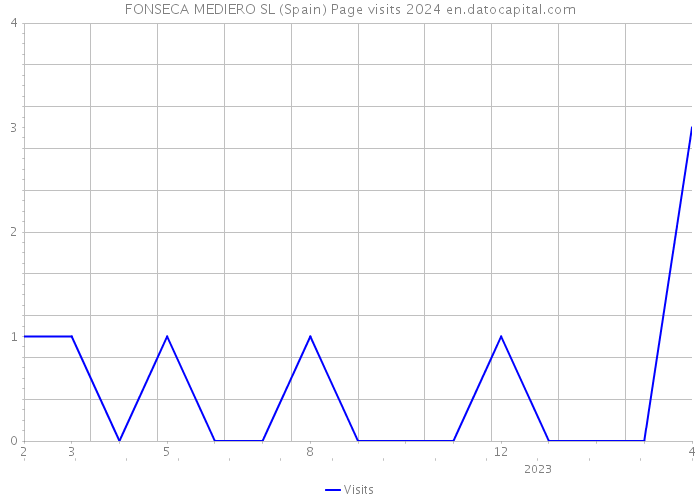 FONSECA MEDIERO SL (Spain) Page visits 2024 