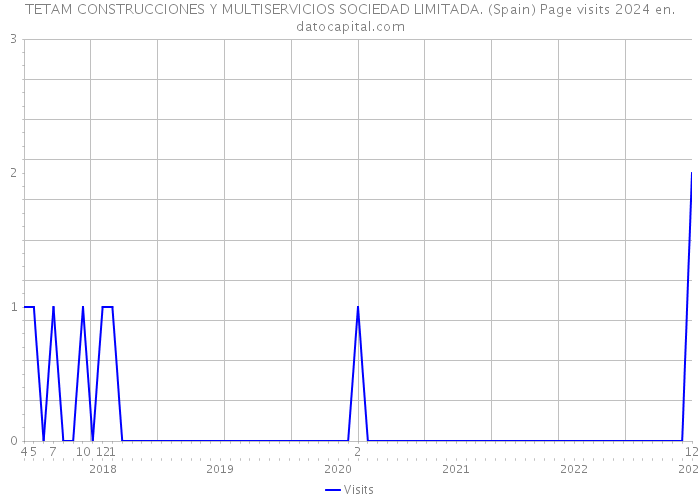 TETAM CONSTRUCCIONES Y MULTISERVICIOS SOCIEDAD LIMITADA. (Spain) Page visits 2024 
