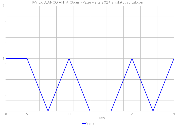 JAVIER BLANCO ANTA (Spain) Page visits 2024 