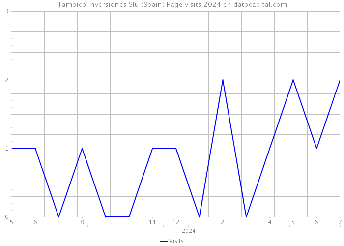 Tampico Inversiones Slu (Spain) Page visits 2024 