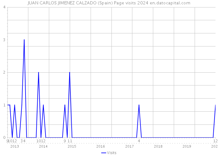 JUAN CARLOS JIMENEZ CALZADO (Spain) Page visits 2024 