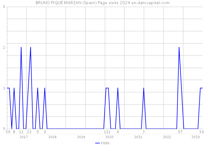 BRUNO PIQUE MARZAN (Spain) Page visits 2024 