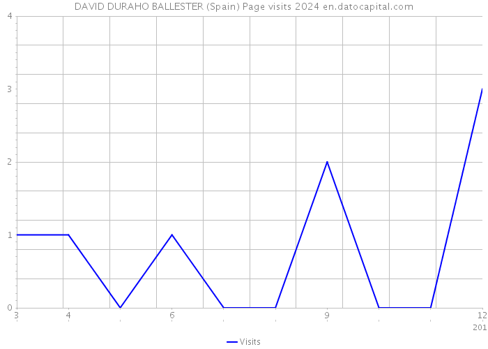 DAVID DURAHO BALLESTER (Spain) Page visits 2024 