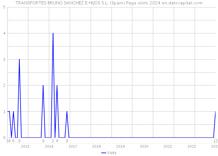 TRANSPORTES BRUNO SANCHEZ E HIJOS S.L. (Spain) Page visits 2024 