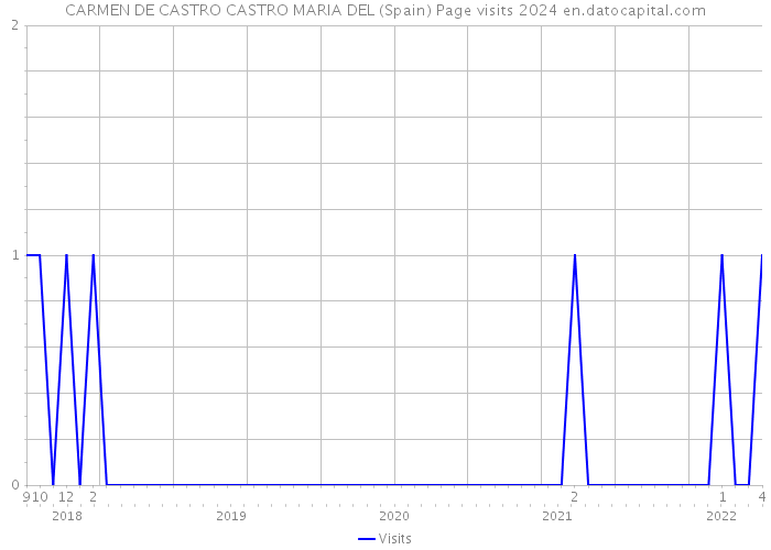 CARMEN DE CASTRO CASTRO MARIA DEL (Spain) Page visits 2024 
