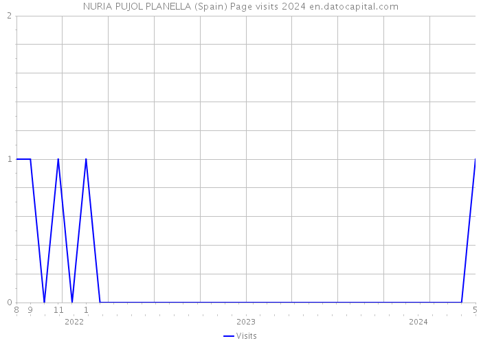 NURIA PUJOL PLANELLA (Spain) Page visits 2024 