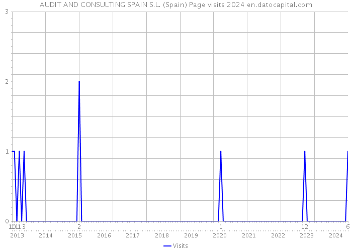 AUDIT AND CONSULTING SPAIN S.L. (Spain) Page visits 2024 